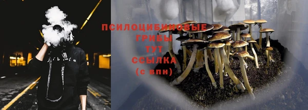 бутират Богданович